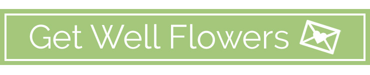 Get well Flowers